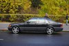 DSC01613.jpg