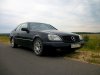 100_4393.JPG
