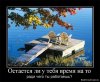 1261077309_dc5b1d4d27ec.jpg