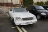 DSC01768.jpg
