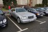DSC01755.jpg