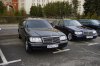 DSC01773.jpg