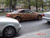 DSC01569.JPG