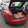 TESLA с картошкой.jpg