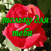 Квіти.gif