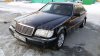 ttn_160318875.jpg