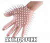 image.jpeg