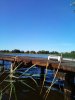 IMG_20170809_112425_531.jpg