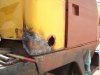DSC04475.JPG