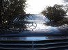 DSCF4875.JPG