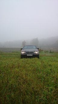 алексей 124